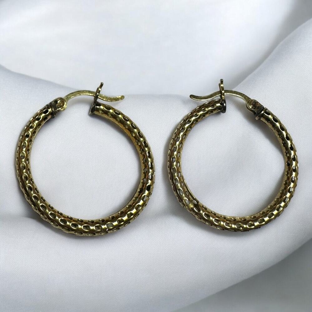 10K Gold Hoop Mesh Earrings in Yellow Gold